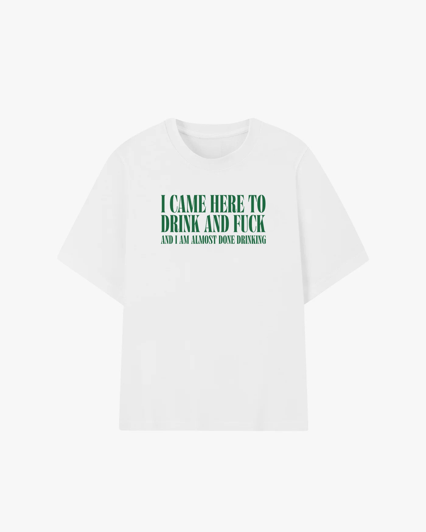 I Came Here To Drink & Fuck Graphic T-shirt